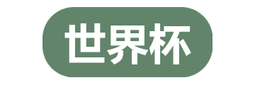 世界杯