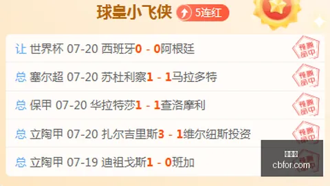 世界杯 113740 51